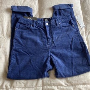 BDG blue corduroy pants size 29
